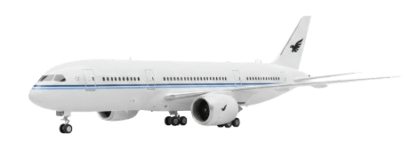 Medical Escort via Air